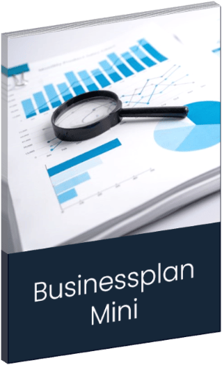 Businessplan erstellen lassen - Businessplan Mini